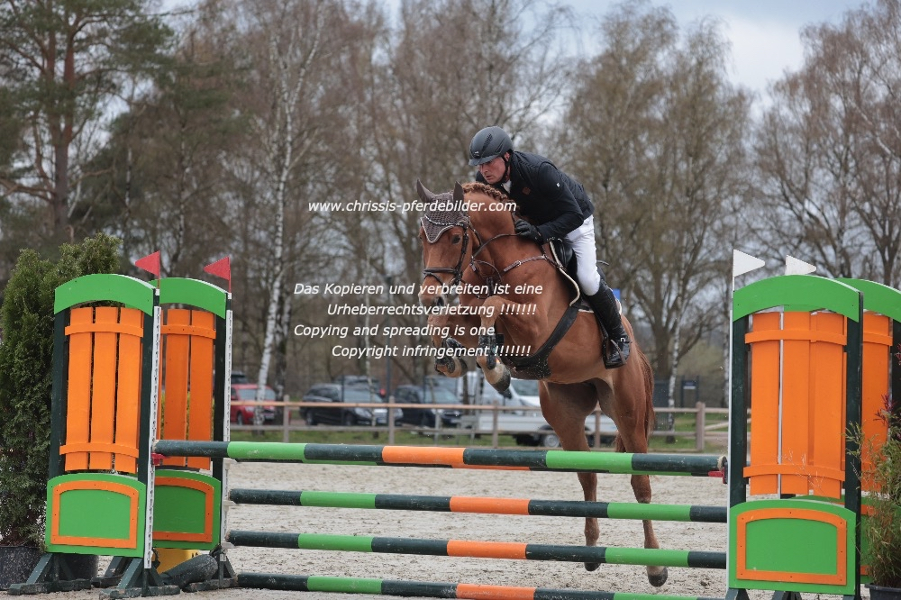 Preview stefan ahlers mit chacolina s magic tack IMG_0395.jpg